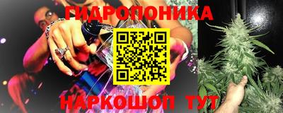 mdpv Кимры