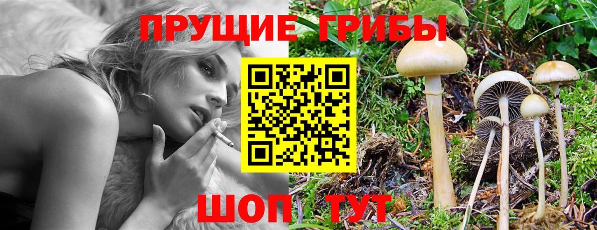 Галлюциногенные грибы мицелий  Вход с VPN  Красноярск  Псилоцибиновые грибы прущие грибы 