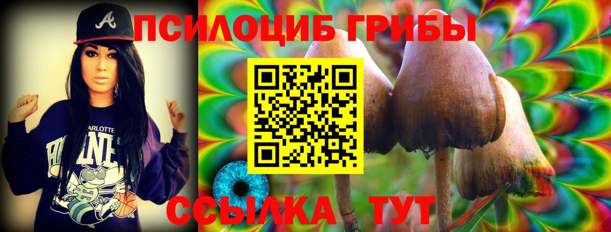 Галлюциногенные грибы Cubensis Красноярск
